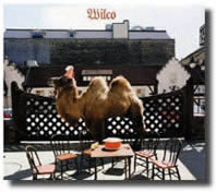 Wilco-07-01-10
