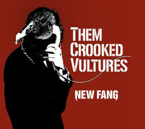 Them-Crooked-Vultures-27-10-09